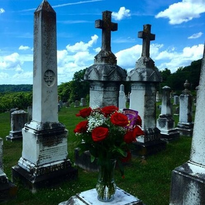 外国同性恋女人阴毛多的视频
