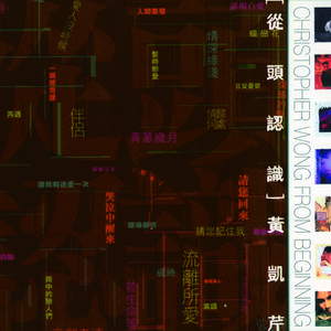 外国同性恋女人阴毛多的视频
